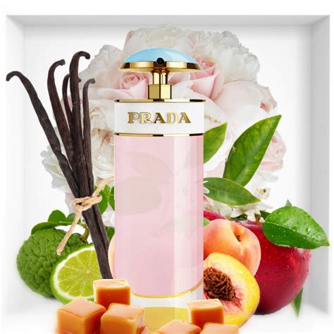 is prada candy or flowebomb sexier to men|Prada Candy sugar pop.